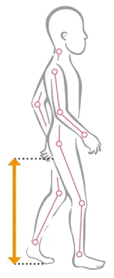 Illustration der Schrittlänge bei einem stehenden Kind mit hervorgehobener Beinlänge von Fußsohle bis Schritt als Maß für die Anpassung von Mobilitätshilfen.